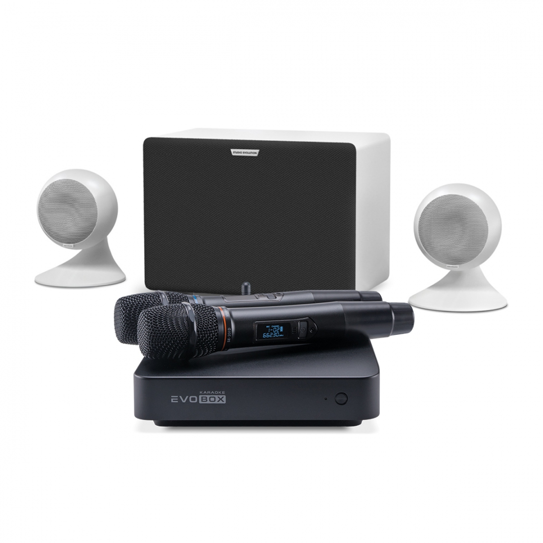 караоке-комплект EVOBOX Classic + EvoSound Sphere 2.1 в Иваново