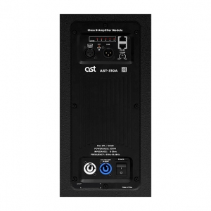 Активная акустическая система AST-310A в Иваново