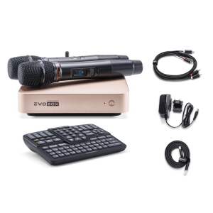 EVOBOX Classic караоке-система для дома в Иваново