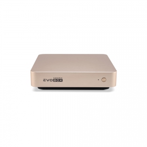 EVOBOX с микрофонами в Иваново